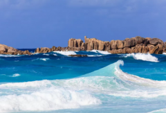 塞舌爾公司逾期年審有什么后果？