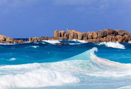 塞舌爾公司逾期年審有什么后果？