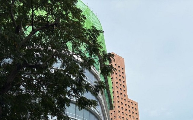 新加坡商品與服務(wù)稅的征收范圍解析