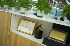 香港公司：公司秘書存在的核心必要性何在?