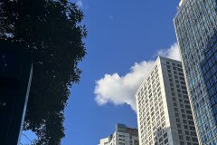 公司遷冊(cè)香港：可申請(qǐng)類(lèi)型全解析與適配指南