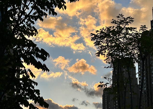 韓國公司年審逾期應(yīng)對(duì)策略與風(fēng)險(xiǎn)規(guī)避指南