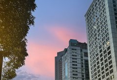 巴西公司注冊地址與巴西本地代理人要求詳解