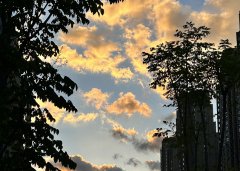 巴西公司注冊(cè)代理人必備條件全解析